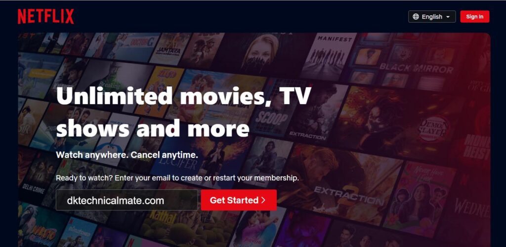what is netflix